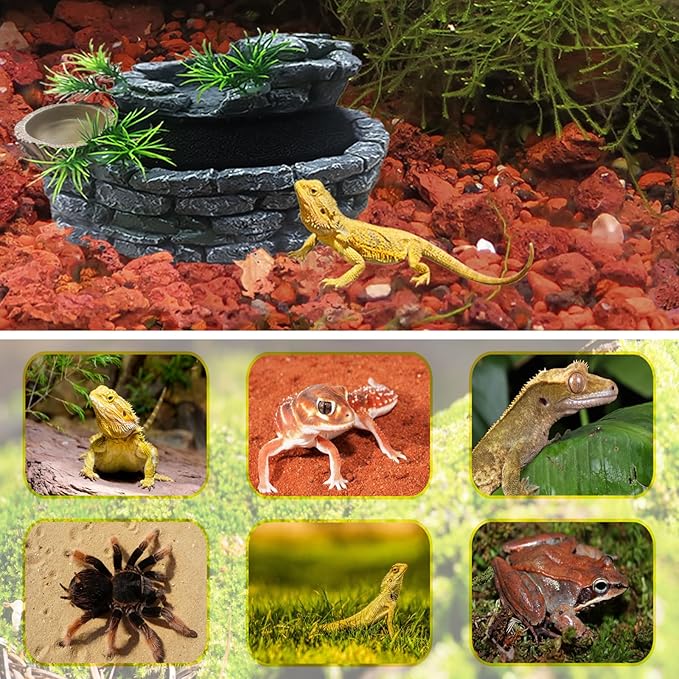 550ML Reptile Water Fountain with Food Dish – Terrarium Drinking Fountain for Bearded Dragon, Gecko, Chameleon, Lizard, Tree Frog & Turtle – Keeps Water Clear, Easy-to-Use Water Dispenser