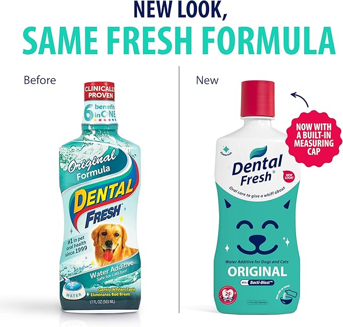Dental Fresh Water Additive for Dogs and Cats, Clean Teeth and Fresh Breath, Daily Pet Oral Care, Flavorless, 32 fl oz