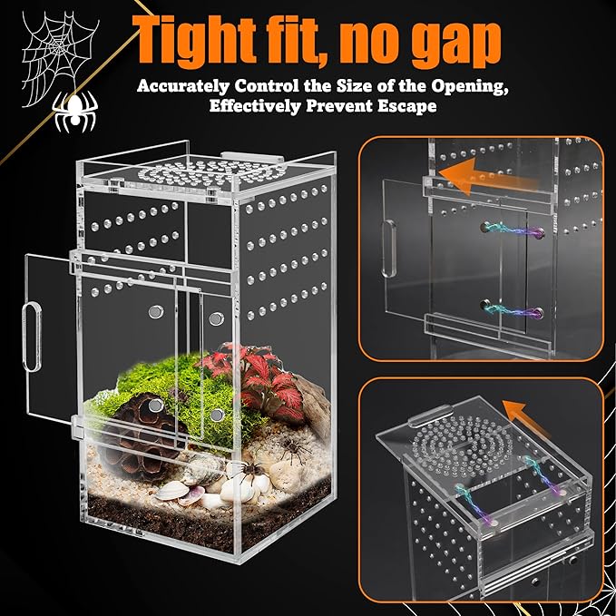 Acrylic Jumping Spider Enclosure Tarantula Enclosure, Full Transparency Spider Enclosure Spider Terrarium Jumping Spider Habitat, Insect Terrarium Bug Enclosure, Arboreal Tarantula Enclosure