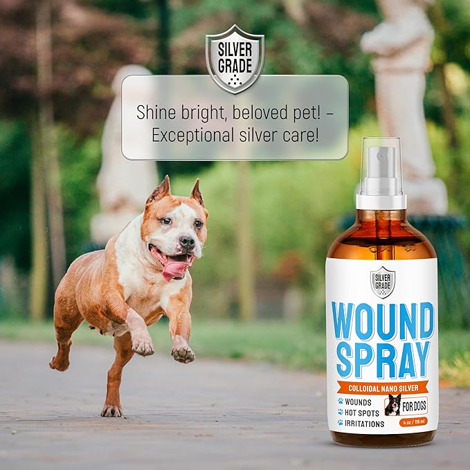 Silver Dog Wound Spray Helps with Hot Spots, Irritations, Bites, Burns, Rashes, Itch, Scratching – Better Use with a Dog Cone to Stop Licking – Safe for Large and Small Breeds – 4 oz