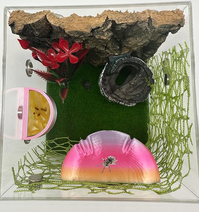 2 Pack Jumping Spider Accessories Mushroom Ledges & 1 Pack Water Bowl with Magnets for Spoods Jumping Spiders Magnetic Ledge Ladder Pet Spider Accessories (Not Included The Terrarium) (colorful)