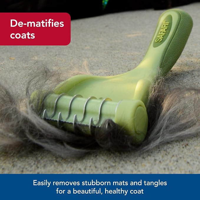 Shed Magic for Short Hair Cats