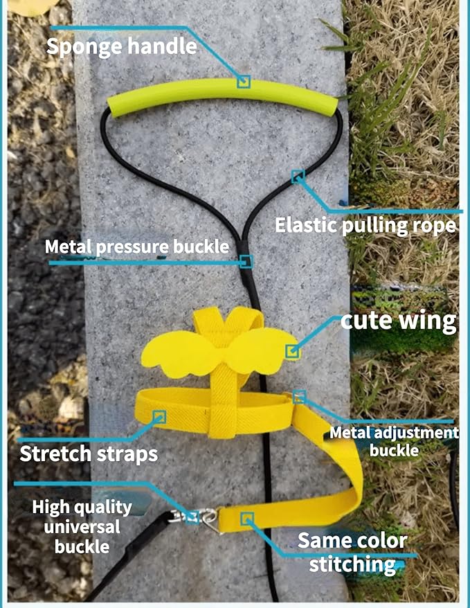Pet Parrot Bird Harness Leash Adjustable Bird Flying Harness Traction Rope with Cute Wing for Parrots Pigeons Budgerigar Lovebird Cockatiel Mynah Outdoor Training Toy (L, Purple)