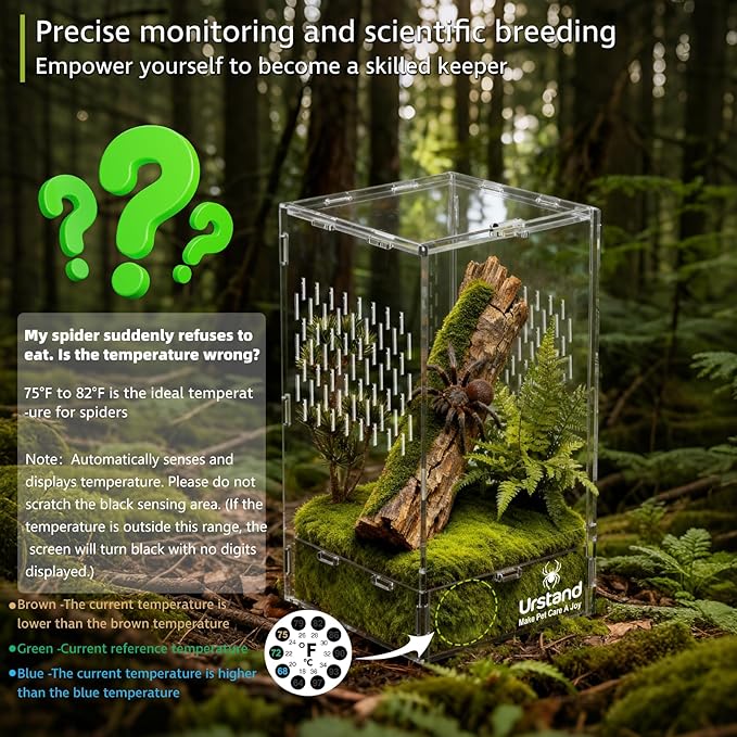 Jumping Spider Enclosure, Front-Opening Acrylic Spider Terrarium with Magnetic Door,Laser-Cut Biomimetic Ventilation System, Escape-Proof for Feeder Insects (6.5"x6.5"x12")