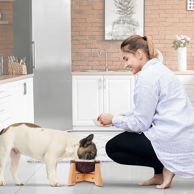 Dog Bowl with Holder for Small Dog | All-Natural Coconut Shell | Raised, Elevated, Eco-Friendly Coco Bowl with Wood Stand | Water-Proof, Water Wet & Dry Food Suitable - 20-oz