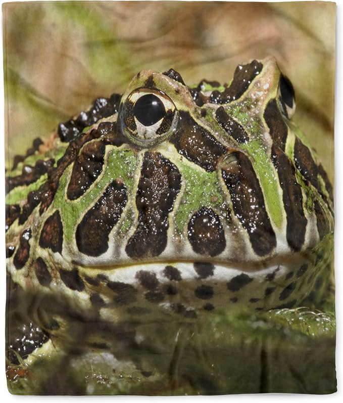 3dRose Pacman Frog, South American Horned Frog - NA02 AJE0359 - Adam Jones Silktouch Minky Blanket