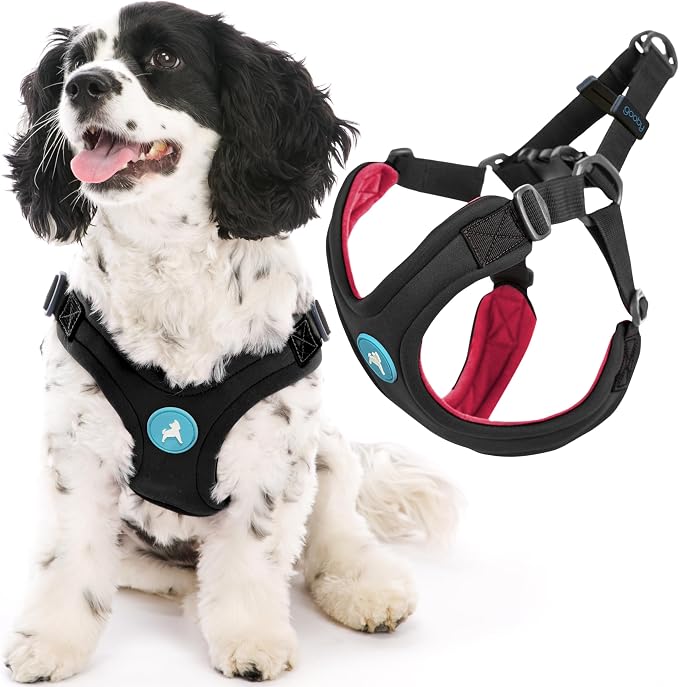Gooby Escape Free Sport Dog Harness, Choke-Free, Black, Small | Patented escape-free frame; Reduces choking; 4-point adjustment; Soft neoprene padding; Durable webbed straps