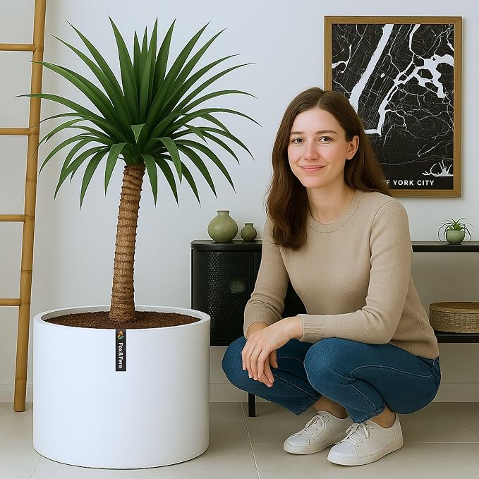 Fox & Fern Large Indoor Planter, Modern Large Plant Pot for Indoor or Outdoor, UV and Frost Resistant - 18.7 Inch, Matte White Flower Pot with Drainage Plug, Lightweight