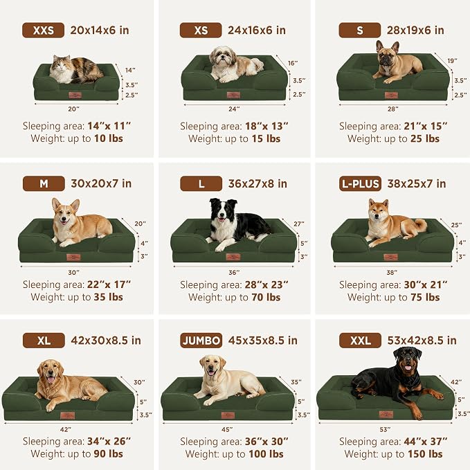 Comfort Expression Waterproof Orthopedic Dog Bed for Extra Large Dogs | Supportive Egg Crate Foam XL Pet Bed with Removable Bolster, Dog Couch with Washable Cover & Non-Slip Bottom, 42x30 Inch