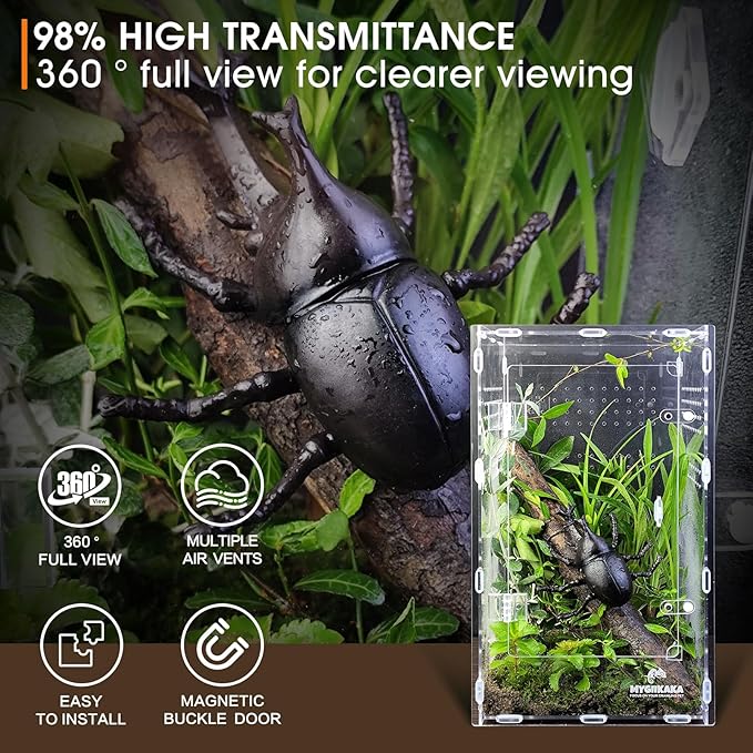 Acrylic Jumping Spider Enclosure - Insect Terrarium for Spiders, Mantises, Tarantulas & Frogs