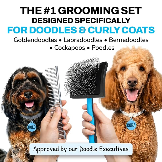 The Doodle Brush Dog Grooming Kit Slicker Brush, Dog Comb Set, Detangler | Extra Long Pins Brushes, Removes Mats, Curly Coats, Stainless Steel Combs, Ergonomic Handle, Gentle Care, Dematting Tools