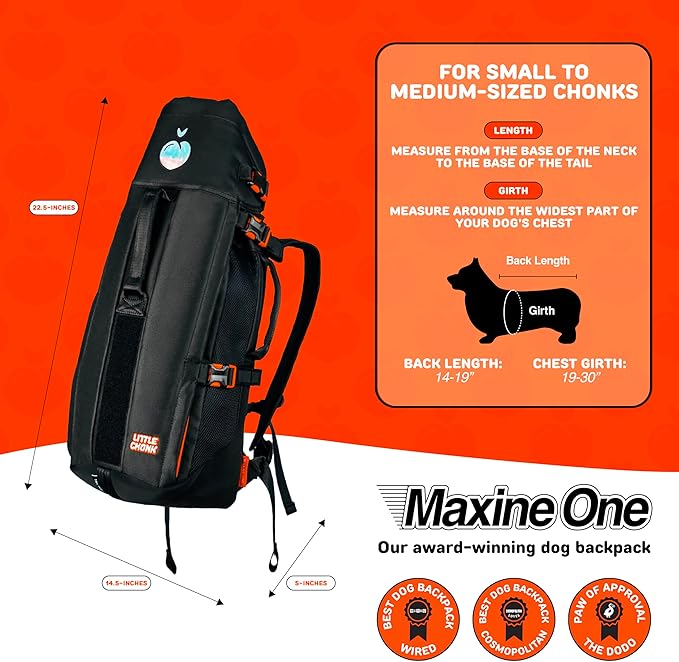 Maxine One Dog Backpack Carrier for Medium Dogs (Gray) | Adjustable & Ergonomic Pet Carrier, Built to be Safer, Hands Free Travel & Hiking, Front Facing, Featured in Wired Magazine