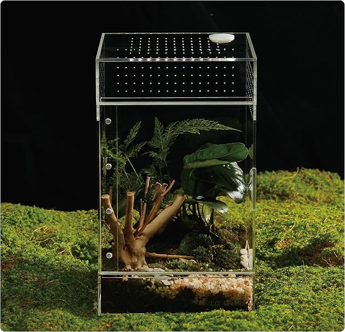 Acrylic Terrarium for Reptiles & Spiders – Small/Medium/Large Leak-Proof Enclosure (Horizontal/Vertical) | Ideal for Tarantulas, Jumping Spiders, Frogs & Geckos(Large, Vertical)