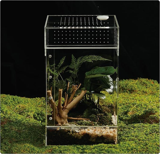 Acrylic Terrarium for Reptiles & Spiders – Small/Medium/Large Leak-Proof Enclosure (Horizontal/Vertical) | Ideal for Tarantulas, Jumping Spiders, Frogs & Geckos(Large, Vertical)