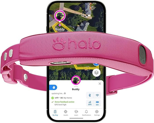 Halo Collar 5 Wireless Dog Fence & GPS Dog Collar, Keep Your Dog Safely Contained Outdoors with App-Controlled Boundaries and Real-Time Tracking, One Size, Orchid