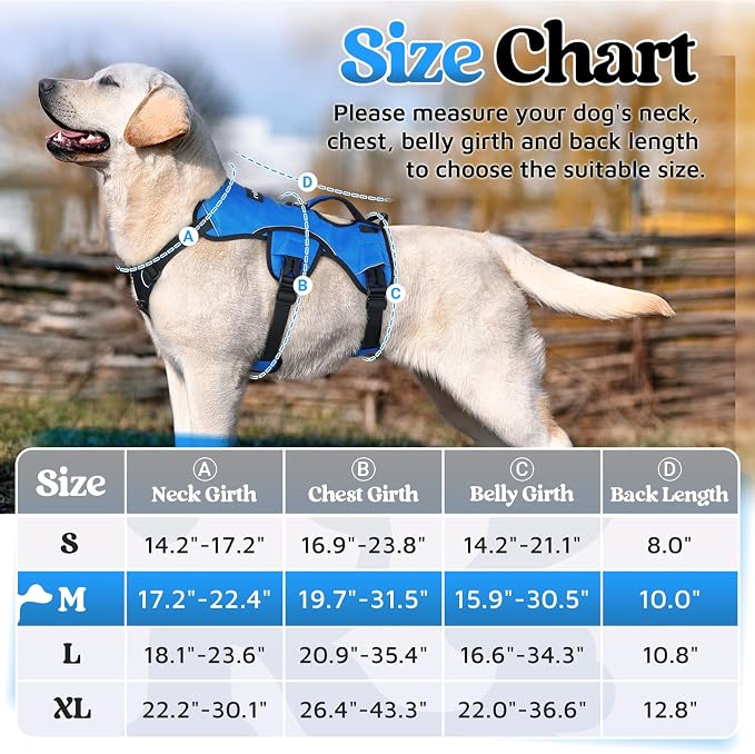 rabbitgoo Escape Proof Dog Harness for Medium, No Pull with Lift Handle | No Escape, Full Soft Padded, Reflective Adjustable Vest, Leash Clip for Walking Hiking Training, Blue, Medium