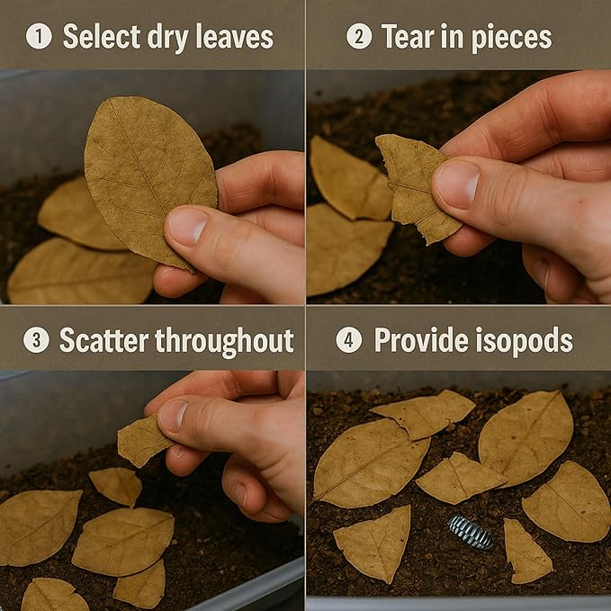 Leaf Litter for Isopods Vivarium Indian Almond Leaves , Tarantulas, Spiders, Crickets Millipedes & Reptiles – 80pcs Natural 4" Dried Catappa Leaves for Bioactive Terrariums,Aquariums & Habitat