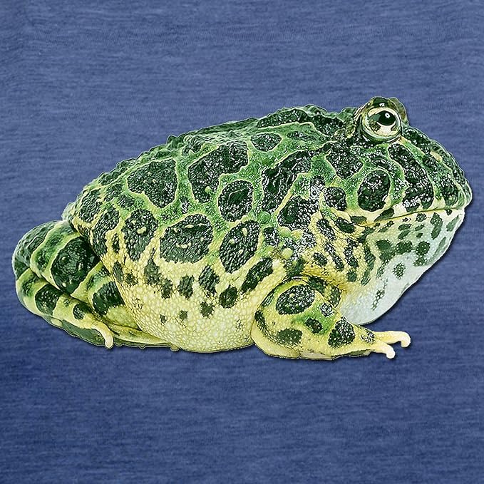 CafePress FIN Pacman Frog Womens Tri Blend T Shirt Women's Tri-Blend T-Shirt