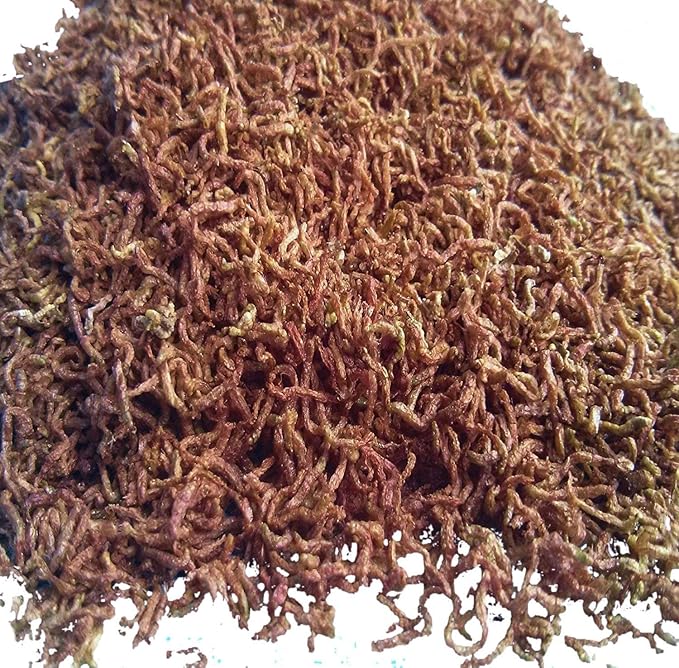 Aquatic Foods Inc. Bloodworms, Freeze Dried Fresh Grade A Floating Bloodworms for All Tropical Fish, Bettas, Discus, Cichlids, Community Fish, Turtles, Carnivores. Shipped from Calif...1/8-lb