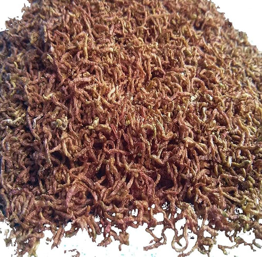 Aquatic Foods Inc. Bloodworms, Freeze Dried Fresh Grade A Floating Bloodworms for All Tropical Fish, Bettas, Discus, Cichlids, Community Fish, Turtles, Carnivores. Shipped from Calif...1/2-lb