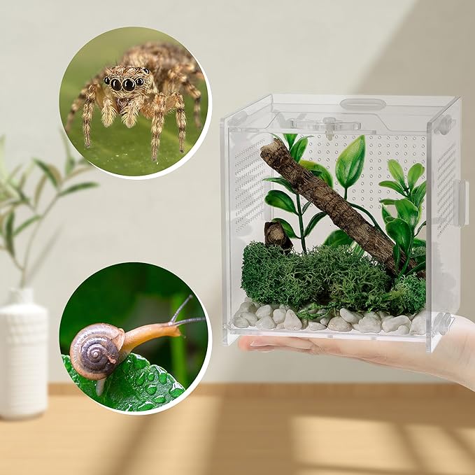 VERTUPET Jumping Spider Enclosure,2 Pack Insects Habitat,Small Arboreal Reptile Terrarium Acrylic Accessories Kit,Tarantula Enclosure Bug Cage for Frog,Crickets, Praying Mantis,Snails（4x4x4inch）