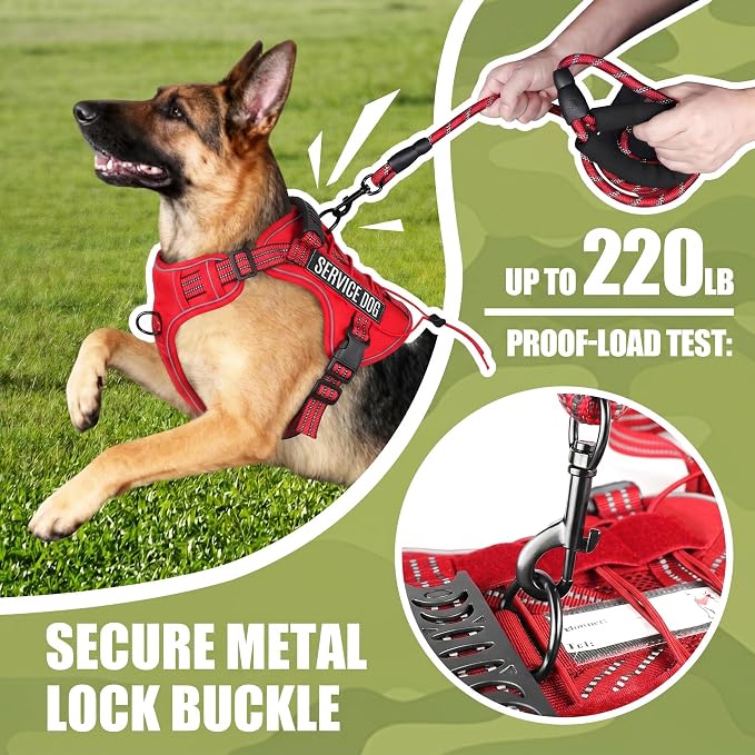 Service Dog Tactical Vest Harness and Leash Set Large Sized Dog Emotional Support- Tactical Dog Harness Training Collar with Name (Red, S)