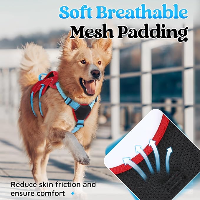 rabbitgoo Escape Proof Dog Harness for X-Large, No Pull with Lift Handle | No Escape, Full Soft Padded, Reflective Adjustable Vest, Leash Clip for Walking Hiking Training, Sky Blue & Red, X-Large