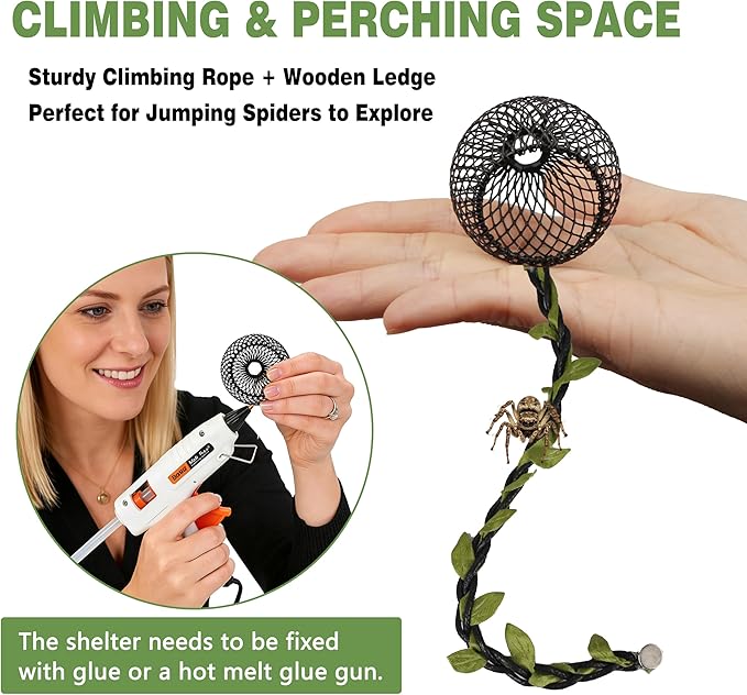 Jumping Spider Enclosure Accessories Kit, 15-in-1 Multifunctional Tarantula Habitat Decor Set with Hideouts, Plants, Ledge, Water Dish, Climbing Rope, Terrarium Decorations for Small Spiders
