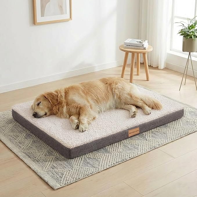 Patas Lague Orthopedic Large Dog Bed Washable Pet Sofa Mat 42''X28'' Ivory | Egg-Crate Foam Dog Couch For Large Sized Dogs, Waterproof Removable Cover, Soft Pet Crate Bed With Nonskid Bottom