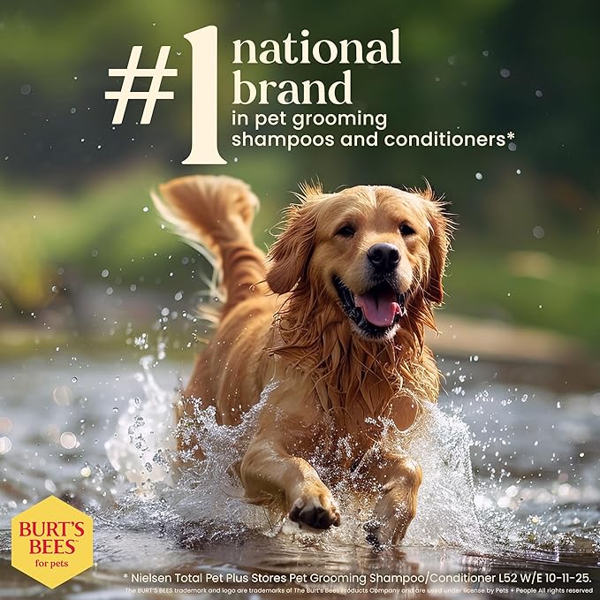 Burt's Bees for Pets Hypoallergenic Dog Shampoo with Shea Butter and Honey, Gentle Fragrance Free Shampoo for Sensitive Dogs with 95% Natural Origin Skin and Coat Formula, 16 Fl Oz