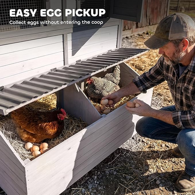 PawHut 147" Extra Large Chicken Coop, Wooden Hen House for 8-10 Hens, Outdoor Chicken House Poultry Hutch with Run, Pull-Out Tray, Nesting Box, Ventilated Windows, Ramp for Rabbit Duck, Gray