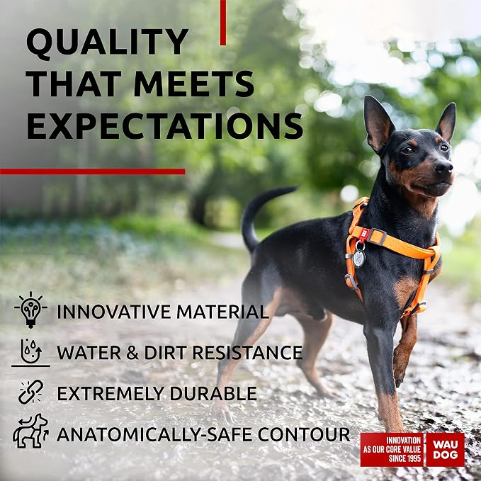 WAUDOG Waterproof Dog Harness - Adjustable for Large, Small and Medium Dogs - Heavy Duty with Durable Metal Clasp and QR Tag - Boy & Girl - Orange (16-22in)