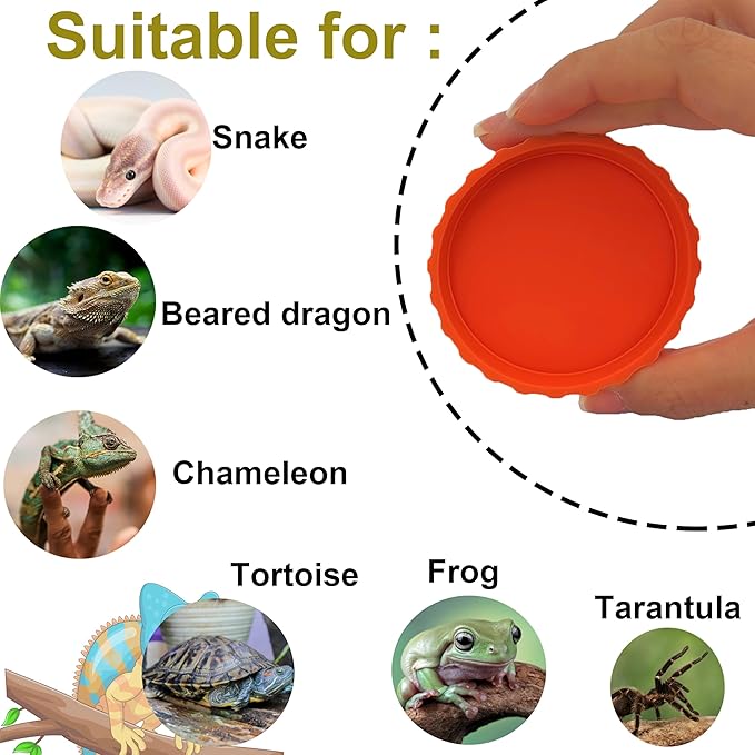 Bearded Dragon Food Dish, Reptile Water Bowl, Silicone Shallow Feeding Bowls, Terrarium Tank Accessories for Tortoise Frog Lizard Turtle Snake, Habitat Decor Supplies - 6 PCS Food - Grade Feeder