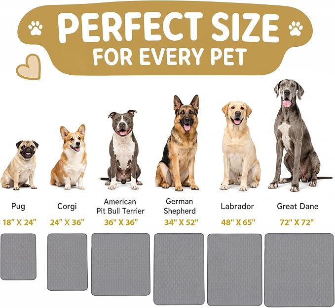 CoolShields Washable Pee Pads for Dogs, 36'' x 36'', Grey, 4 Pack | Ultra-Absorbent Reusable Waterproof Puppy Pad for Crates, Playpens, Carpets, and Floors—Ideal for Dogs, Cats, and Small Pets