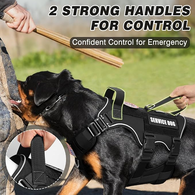 Tactical Service Dog Vest and Leash Set,Heavy Duty Harness with Metal Buckles for Large Dogs,Adjustable No Pull Pet Vest with 10 Patches,for Training Working Hiking,Black L