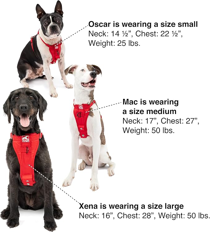 Kurgo Enhanced Strength Tru-Fit Smart Harness, Charcoal, Small | Crash Tested Car Harness for Dogs up to 75Lbs, Seatbelt Tether & Steel Carabiner, All-Steel Buckles, Padded Chest for Comfort
