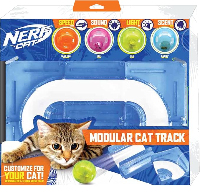 Nerf Cat Gift Set Box - 15in x 10in ABS Turbo Cat Track with 4 Balls