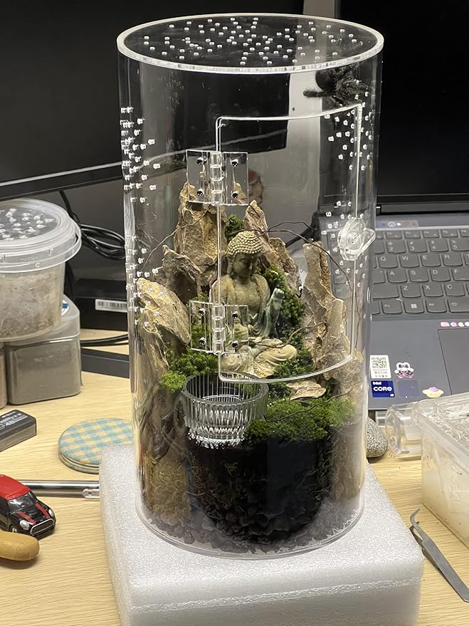 Front Opening Terrarium Jumping Spider Enclosure,Tall Arboreal Tarantula Enclosure Terrarium with Cross Ventilation,Waterproof Acrylic Reptile Enclosure