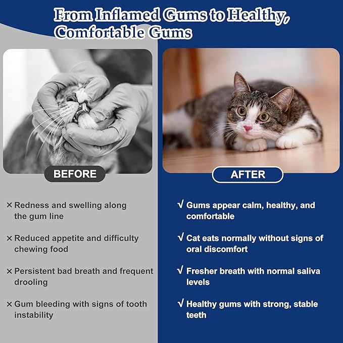Oral Health for Cats, Cat Gingivitis Treatment, Reduce Gum Inflammation, Redness & Pain, Combats Gum Disease, Natural Plant-Based Active Formula, Cat Oral Care, Gums Health Treatment