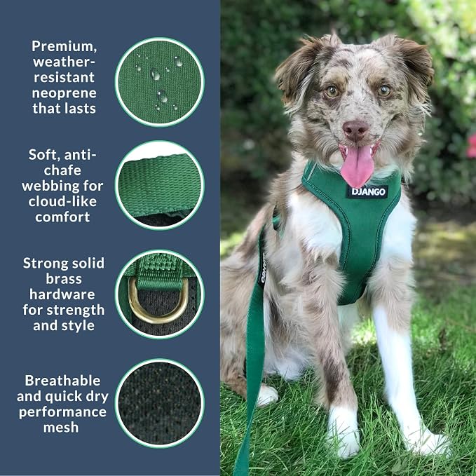 Adventure Dog Harness - Stylish and Durable Large Dog Harness for Outdoor Adventures and Everyday Wear - Forest Green Neoprene Adjustable Harness for Dogs with Reflective Piping & Brass D-Ring