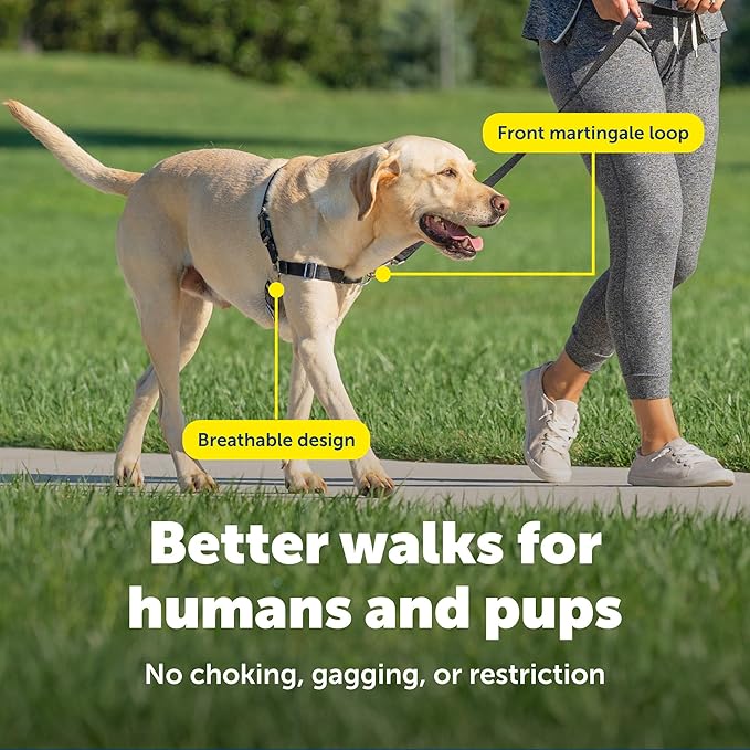 PetSafe Easy Walk Harness, No Pull Dog Harness, Charcoal Gray, Large | Patented Martingale Loop Gives Gradual Shoulder Pressure to Stop Pulling, Front-Chest Leash Clip Prevents Gagging