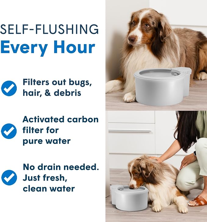 Always Full® 7" Self-Refilling Cat Water Bowl & Bottle Pump Bundle | Self-refilling filtered water with app-enabled hydration monitoring; easily upgradeable to the Always Full® Wall Unit.