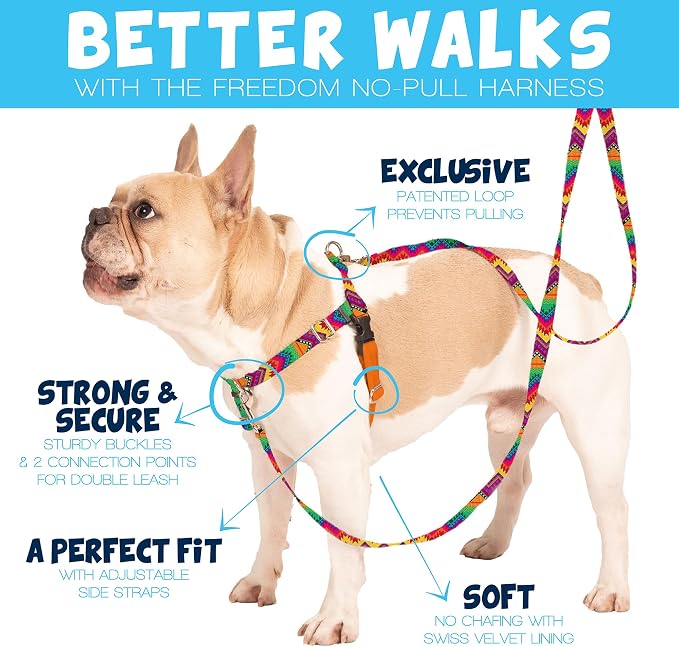 2 Hounds Design Freedom No Pull Dog Harness, 5/8 inch MD, Raspberry | Discourages Pulling, Comfortable Control Adjustable Dog Harness for Medium Sized Dogs, Made in USA (Leash Not Included)