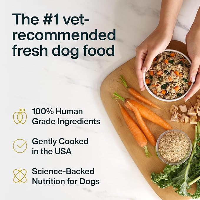 JustFoodForDogs JustFresh Wet Dog Food, Fresh Pet Meals and Toppers with No Preservatives, Resealable Package, Human Grade, Home-Cooked Chicken & Turkey, 12 oz - 14 Pack
