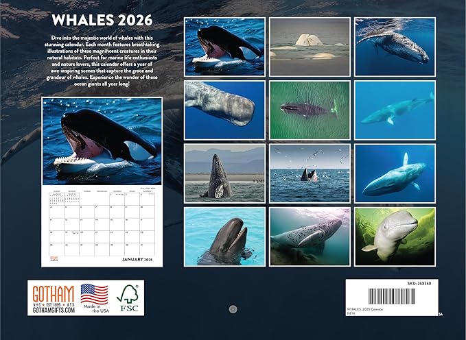 Whale Calendar 2026 Monthly Wall Calender 12 Month | American Made In The USA