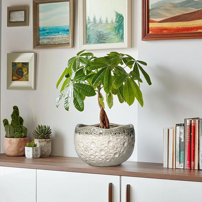 Ceramic Flower Pots - 8 Inch Plant Pots for Indoor Outdoor, Unique Round Planter with Drainage Hole and Plug, Decorative Ceramic Planter, Room Decor, House Warming Gifts, Beige-Grey