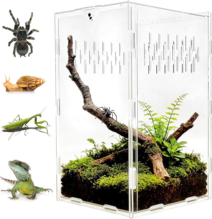 Jumping Spider Enclosure, 10x6x6 Inch Acrylic Reptile Enclosure with Front Door, Large Insect Terrarium Habitat for Jumping Spiders, Praying Mantis, Arboreal Tarantulas