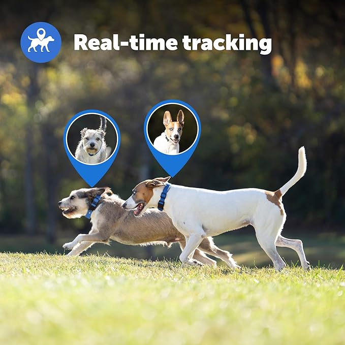 PetSafe Guardian GPS Tracking Dog Fence Collar - Reliable Dog Fence - Wireless Virtual System - Waterproof Collar - Long Lasting Battery - Blue