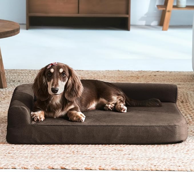 Gel Memory & High-Density Foam Orthopedic Dog Bed 28x19x6 Small | | Double Waterproof Cover | Machine Washable | Non-Slip Base | Fur-Resistant Tech Fabric