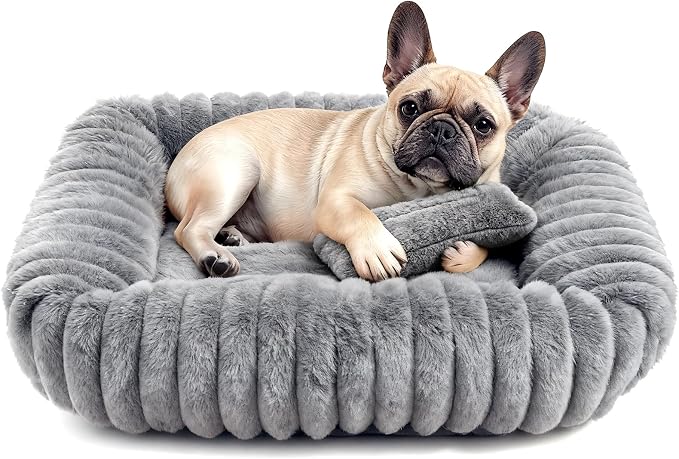 Dog Bed for Small Medium Size Dog, Washable Self Warming Dog Cat Beds for Indoor Cats Fluffy Rabbit Fur Pet Bed for Puppy and Kitten, Orthopedic Dog Cat Beds with Removable Cover & Anti-Slip Bottom